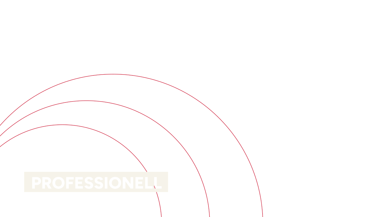Banner graphic with the word “Profesionell” at The New Academy Musical Theatre Vienna.